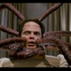 Illustration for article titled Gruesome Super clip shows how God probes Rainn Wilsons brain
